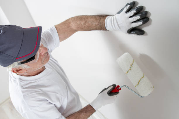 Trusted Red Bank, TN Mold Removal Experts