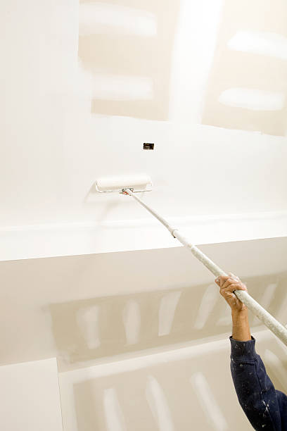 Best Industrial Mold Remediation  in Red Bank, TN